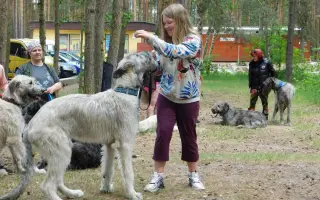 Pomozme uzdravit vlkodávka Hamishka