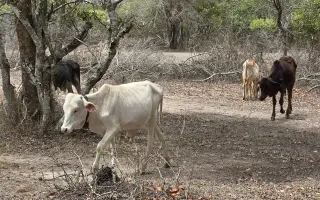 Pomozte nám dostat vodu do masajské vesnice