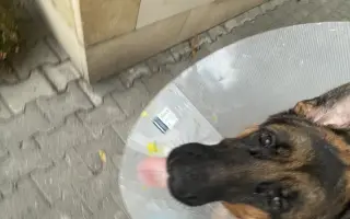 Pomohli jste Benovi znovu chodit bez bolesti