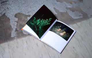 Podpořte vydání autorské knihy AND THERE WAS MORNING, THE SECOND DAY