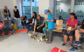 Canisterapie CANTES v krajích ČR jako sociální rehabilitace