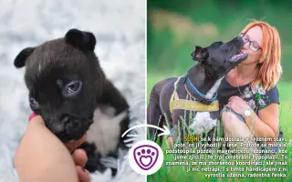 Každá kapka má smysl! Přiveďte vodu do centra pro handicapovaná zvířata