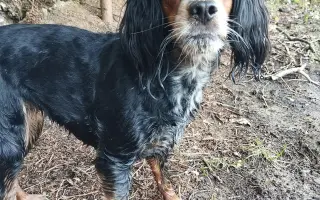 Shamy bouje s bolestí. Pomozme jí prožít stáří důstojně