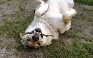 Naděje pro Aishu ❤️