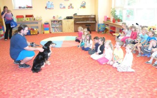 Canisterapie CANTES v krajích ČR jako sociální rehabilitace