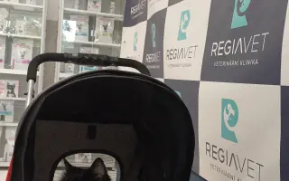 Devět životů pro Kočku