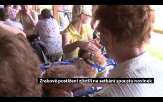 Canisterapie CANTES v krajích ČR jako sociální rehabilitace