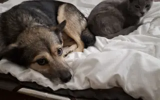 Druhá šance pro Dirka z osady na lepší život