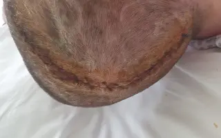 Pomozme Kateřině po mrtvici vrátit se domů ke svému synovi