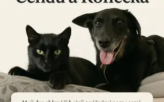 Veterinární péče pro velmi nemocného Čendu a Ronečka