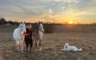 Když se štěstí obrátí zády: Pomoc pro Chérie a Areska