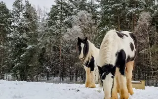 Tami ❤️ a její léčba, která nebere konce
