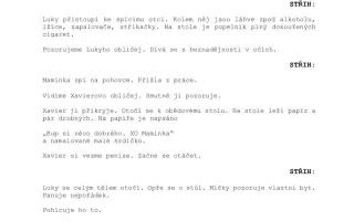 Podpořte krátký STUDENTSKÝ FILM - every child can fly