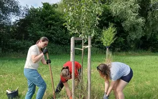 Pomozte stromům růst