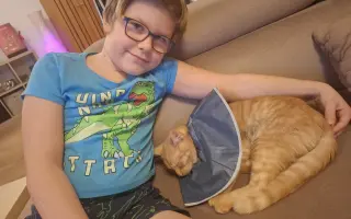 Pomozte s úhradou léčby kocourka Benjamina