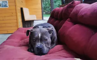 Pomozme Ele opět poznávat svět