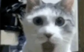 Auto pro Marii – do práce, k lékaři, za životem