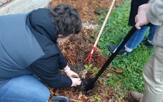 Zahrada Duševní pohody