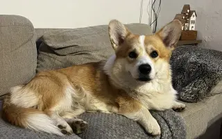 Pomozme Aloiskovi znovu chodit