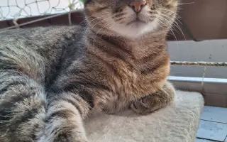 8 nalezených Lásek