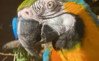 Společně ❤️ pro zvířata i v roce 2026