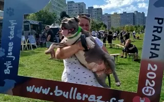 Pro Samíčka❤️ Prosím pomocte mu znova běhat bez bolesti