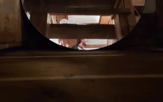 Kapela LakyMari v albu "Kind (of) mind" dává hlas zvířatům, podpořte jeho vznik.