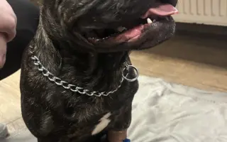 Pomozme Calvinovi zpět na nožičky