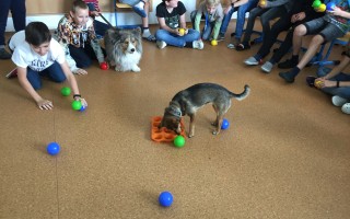 Canisterapie CANTES v krajích ČR jako sociální rehabilitace