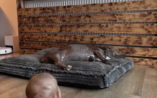 Sheilinka už dvakrát vyhrála. Pomozme jí bojovat potřetí.