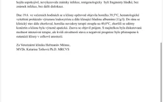 Funny, kráska s frakturou lebky