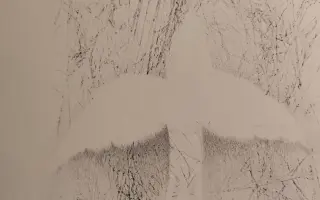 jan běťák & hosté / jazykem květin - podpořte vydání nového CD