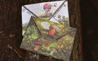 Podpořte KOLODĚJE - houbové hrdiny