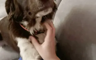 Pomozte Lokimu žít plnohodnotný život