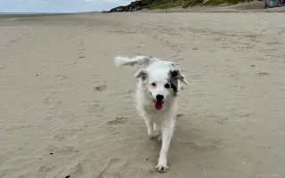 Víc času pro Denyšku ❤️