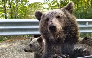 Z nuly zpět za hledáček - aneb nový začátek po velkém pádu