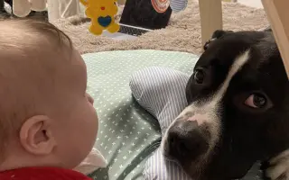 Naděje pro Alvina - léčba Mastocytomu