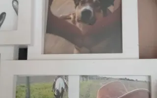 Domov po požáru - pomoc Veronice.