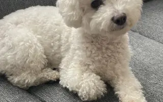 Pomozte nám zachránit naši Elinku