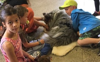 Canisterapie CANTES v krajích ČR jako sociální rehabilitace
