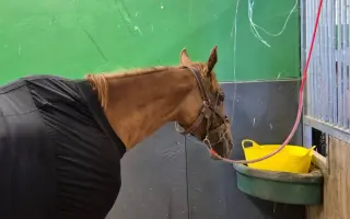 Operace pro březí Tanečnici