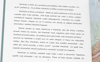Podpořte vydání dětské knihy Světobjevník Martínek