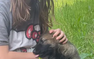 Získejte pro své děti originální dětské tetování za cenu dodavatele