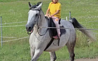 Dobročinná sbírka pro Ostrov Naděje