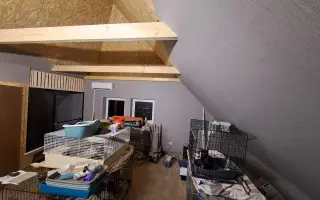 Postavme společně útulek pro kočky a psy