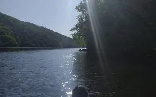 Shamy bouje s bolestí. Pomozme jí prožít stáří důstojně