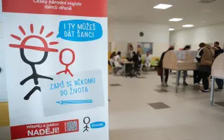 Rytířpomáhá - Nadaci pro transplantaci kostní dřeně