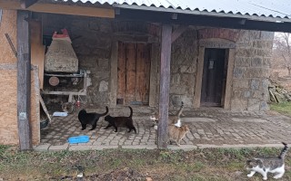Pomozte nám vybudovat útulek v Jeseníkách!