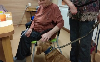 Canisterapie CANTES v krajích ČR jako sociální rehabilitace