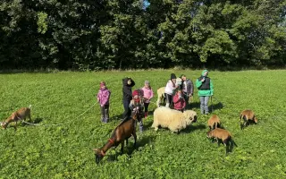 Pomozte beránkovi Knedlíčkovi opět běhat s dětmi.🤍